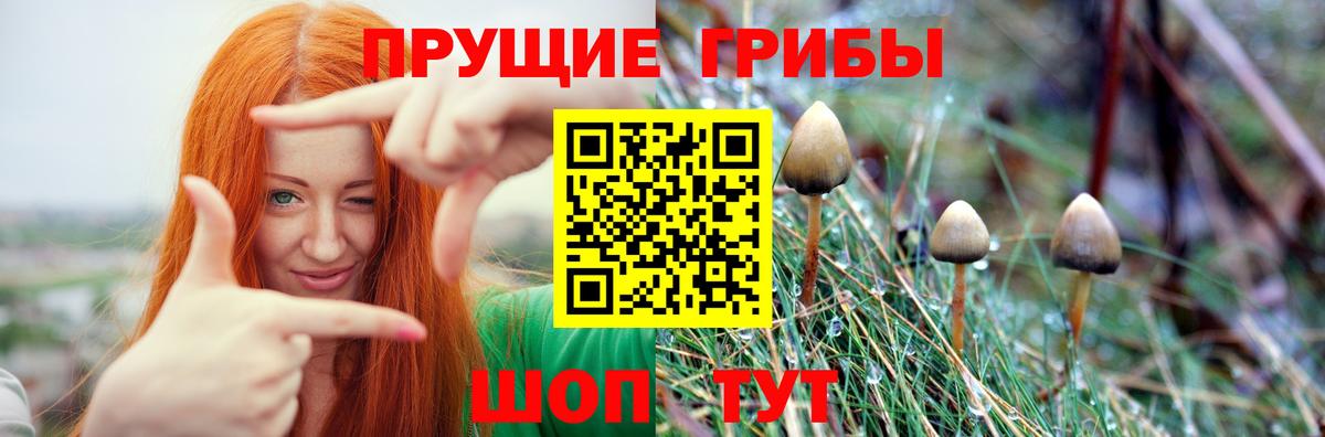 Галлюциногенные грибы мицелий  Вход с VPN  Моршанск 
