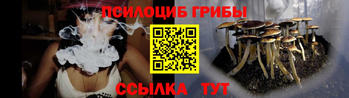 Галлюциногенные грибы MAGIC MUSHROOMS Моршанск